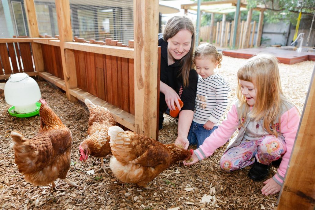 Early Learning Centre Outdoor Chook Pen 1030x687 - South Melbourne