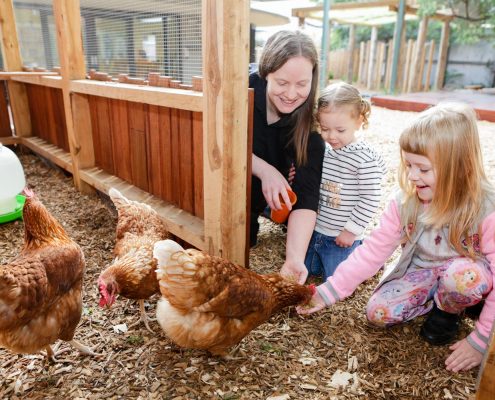 Choosing the Right Childcare Centre: What Parents Should Know Before Enrolling Early Learning Centre Outdoor Chook Pen 495x400 - Choosing the Right Childcare Centre: What Parents Should Know Before Enrolling