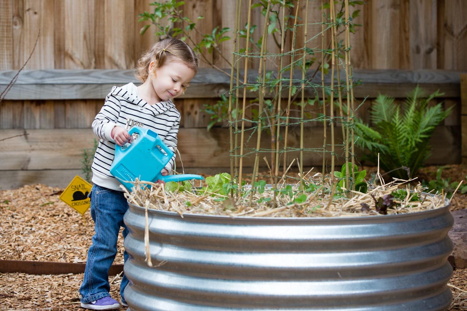 Early Learning Centre South Melbourne Vege Garden 1500x1000 - South Melbourne