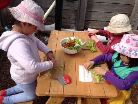 child care narre warren apple blossoms - Children's Week at Narre Warren
