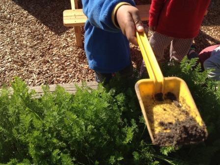 day care narre warren - Children's Week at Narre Warren