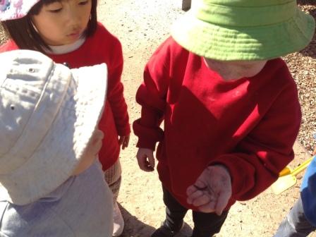 Children's Week at Narre Warren kindergarten narre warren - Children's Week at Narre Warren