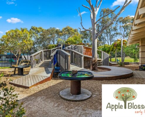 Day Care Kinder Narre Warren 2 495x400 - Early Learning Narre Warren