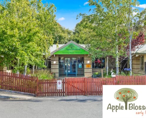 Pre Kinder Kinder Narre Warren 495x400 - Early Learning Narre Warren